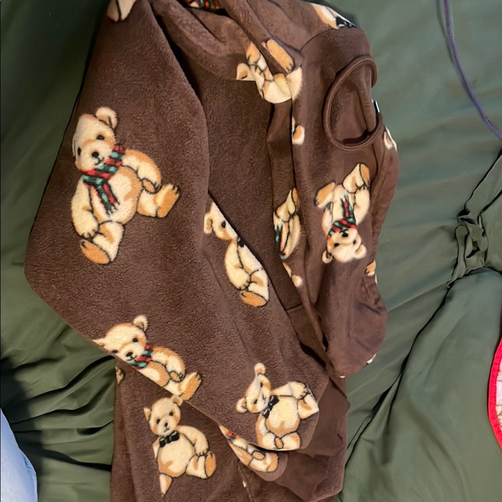 Cozy Brown Teddy Bear hoodie